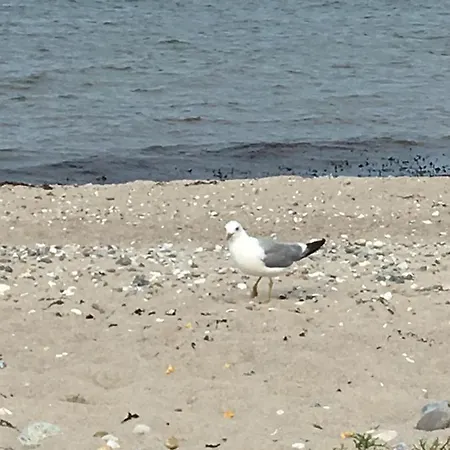 Inselloft-fehmarn * Fehmarn