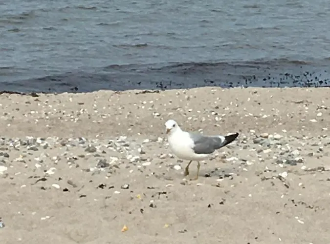 Inselloft-fehmarn * フェーマルン